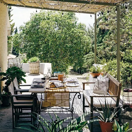 Tettix House Fichti